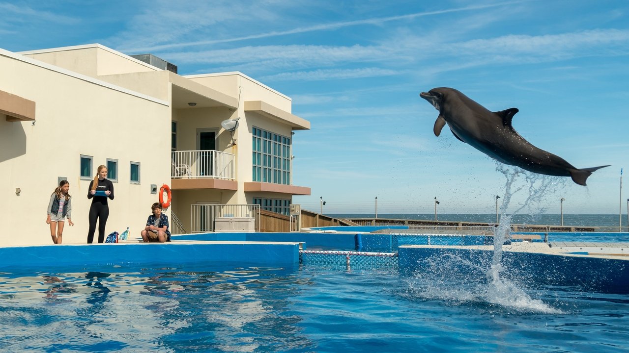 Bernie the Dolphin (2018) เบอร์นี่ โลมาน้อย หัวใจมหาสมุทร